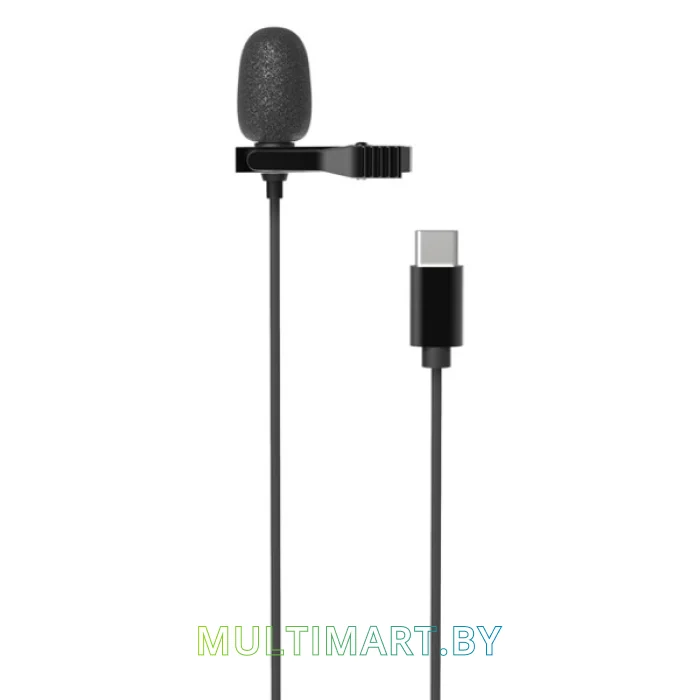 Микрофон Ritmix RCM-210